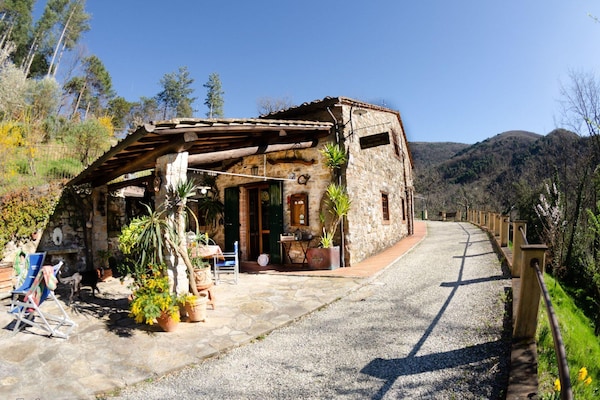 Foto van Charmante retraite in Lucca - Vakantiehuis in Lucca - ExteriorSummer