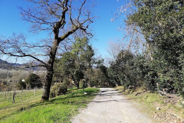 Foto van Charmante retraite in Lucca - Vakantiehuis in Lucca - AreaSummer1KM