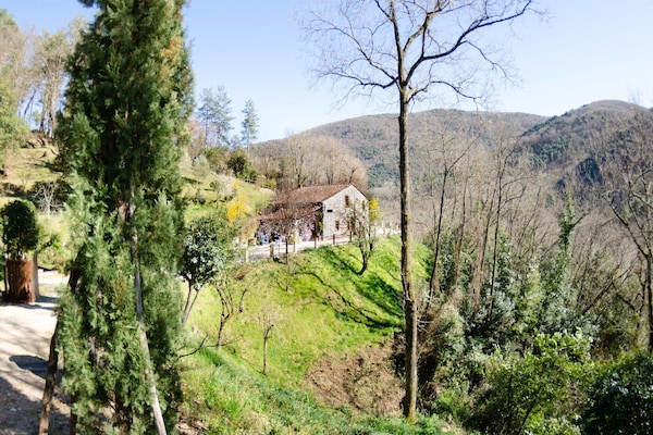 Foto van Charmante retraite in Lucca - Vakantiehuis in Lucca - ExteriorSummer