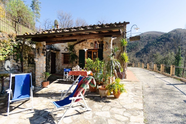 Foto van Charmante retraite in Lucca - Vakantiehuis in Lucca - ExteriorSummer
