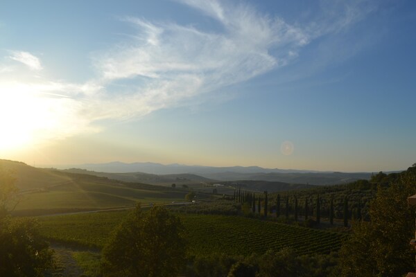 Foto van Huis in Toscane met zwembad - Vakantiehuis in Castel del Piano – GR - ExteriorSummer