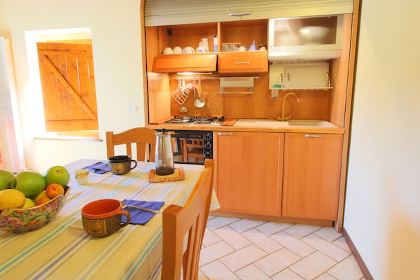 Foto van Volledige boerderij met onafhankelijke appartementen en zwembad - Kitchen