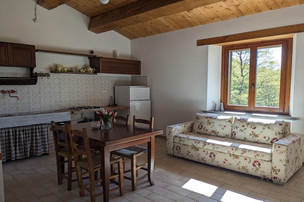 Foto van Exclusieve vakantievilla met privézwembad tussen Marche en Umbrië. - Kitchen