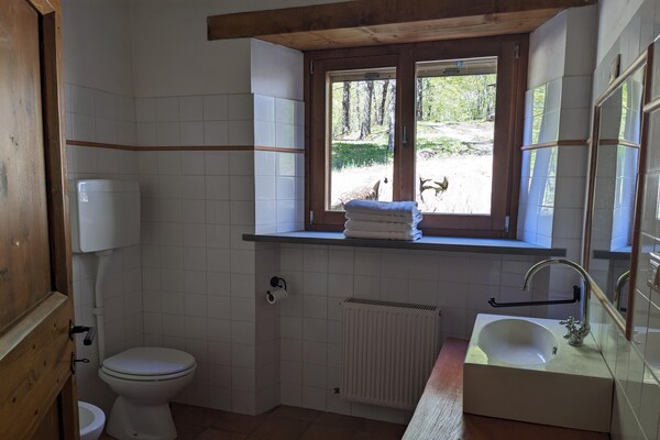 Foto van Exclusieve vakantievilla met privézwembad tussen Marche en Umbrië. - BathRoom