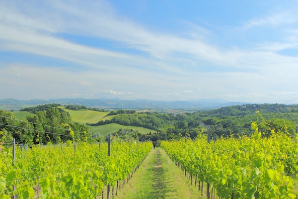 Foto van Luxe verblijf met tuin - Vakantiehuis in Monte San Martino - AreaSummer5KM