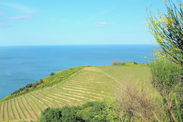 Foto van Luxe verblijf met tuin - Vakantiehuis in Monte San Martino - AreaSummer20KM
