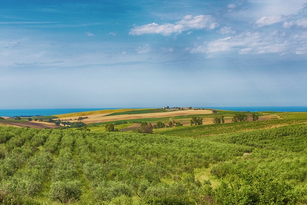 Foto van Villa in Italië met zwembad en terras - Vakantiehuis in Petacciato - AreaSummer1KM
