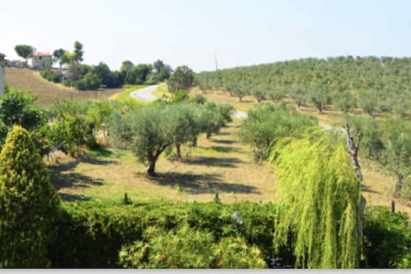 Foto van Villa in Italië met zwembad en terras - Vakantiehuis in Petacciato - AreaSummer20KM