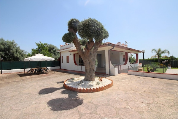 Foto van Huis dichtbij Syracuse - Vakantiehuis in Siracusa - ExteriorSummer