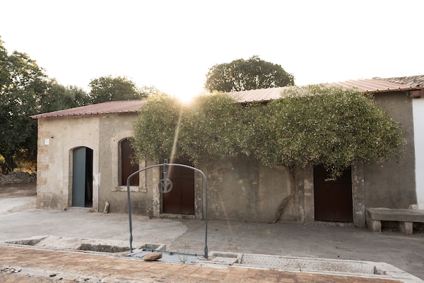 Foto van Vakantiehuis in Siracusa met tuin - Vakantiehuis in Siracusa (SR) - ExteriorSummer