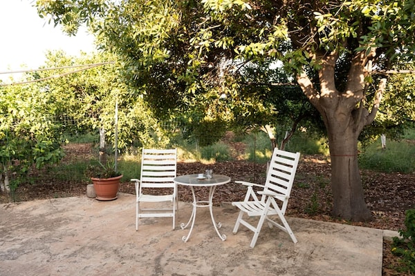 Foto van Vakantiehuis in Siracusa met tuin - Vakantiehuis in Siracusa (SR) - TerraceBalcony