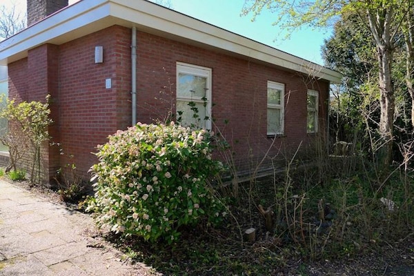 Foto van Comfortabele familiebungalow vlakbij het strand - Vakantiehuis in Sint Maartenszee - ExteriorSummer
