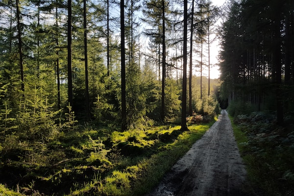Foto van Villa in Nederland met Privézwembad - Vakantiehuis in Voorthuizen - AreaSummer1KM