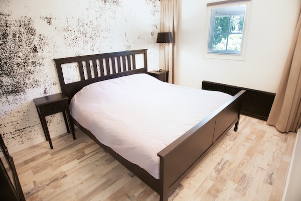 Foto van Villa in Drents-Friese Woud met Zwembad - Vakantiehuis in Wateren - BedRoom