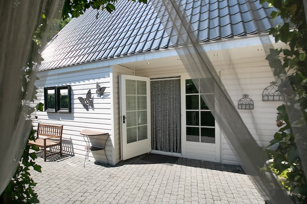 Foto van Villa in Drents-Friese Woud met Zwembad - Vakantiehuis in Wateren - ExteriorSummer