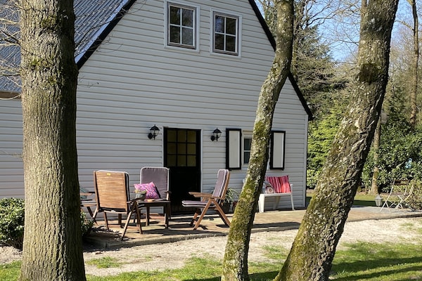 Foto van Villa in Drents-Friese Woud met Zwembad - Vakantiehuis in Wateren - ExteriorSummer