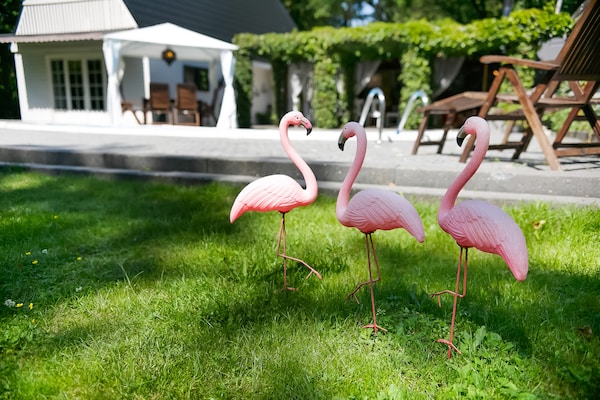 Foto van Villa in Drents-Friese Woud met Zwembad - Vakantiehuis in Wateren - GardenSummer