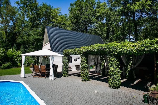 Foto van Villa in Drents-Friese Woud met Zwembad - Vakantiehuis in Wateren - ExteriorSummer