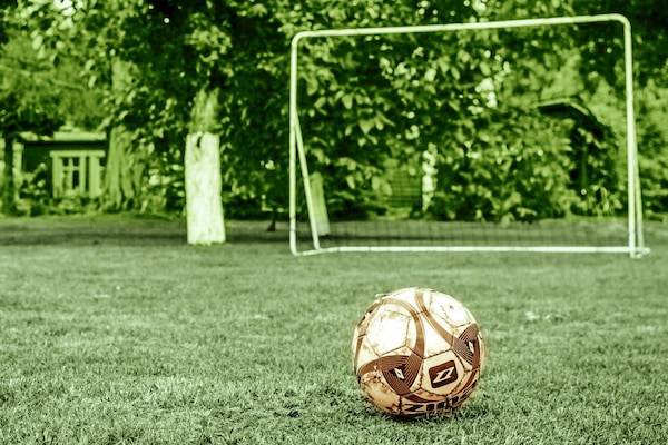 Foto van Vakantiehuis in het bos, privétuin, sauna - Vakantiehuis in Polanow - GardenSummer