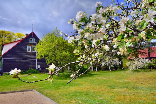 Foto van Vakantiehuis in het bos, privétuin, sauna - Vakantiehuis in Polanow - GardenSummer