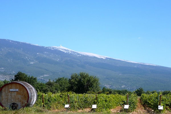 Foto van vakantiehuis in Puyméras met tuin - Vakantiehuis in Puyméras - AreaSummer20KM