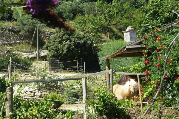 Foto van Gezellig vakantiehuis met zwembad, Vernègues - Vakantiehuis in Vernègues - GardenSummer