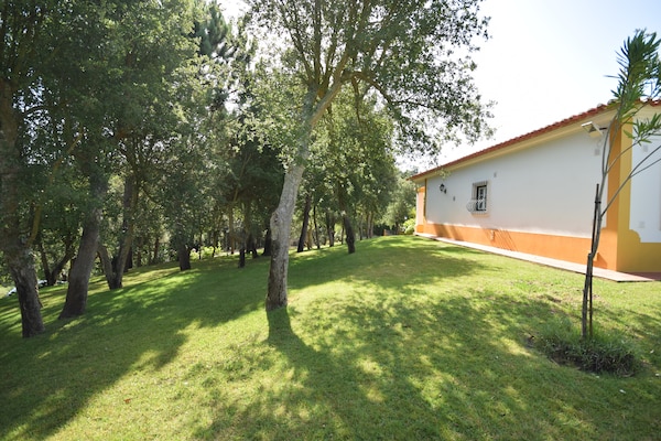 Foto van Familie-uitje met zwembad; Caldas da Rainha - Vakantiehuis in Salir de Matos - GardenSummer