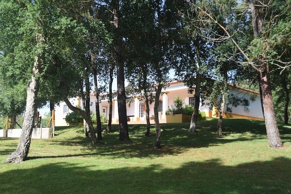 Foto van Familie-uitje met zwembad; Caldas da Rainha - Vakantiehuis in Salir de Matos - GardenSummer