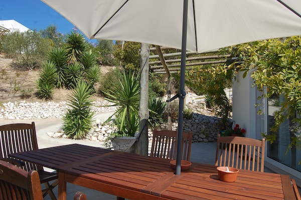 Foto van Familievilla met zwembad en barbecue - Vakantiehuis in Alcobaça - TerraceBalcony