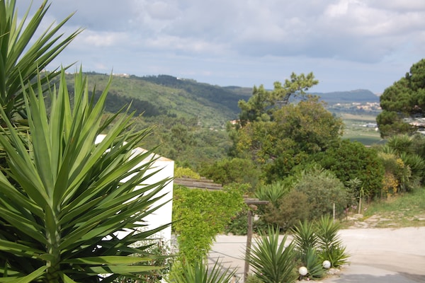 Foto van Familievilla met zwembad en barbecue - Vakantiehuis in Alcobaça - ViewSummer