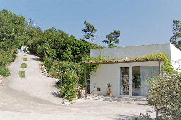 Foto van Familievilla met zwembad en barbecue - Vakantiehuis in Alcobaça - ExteriorSummer