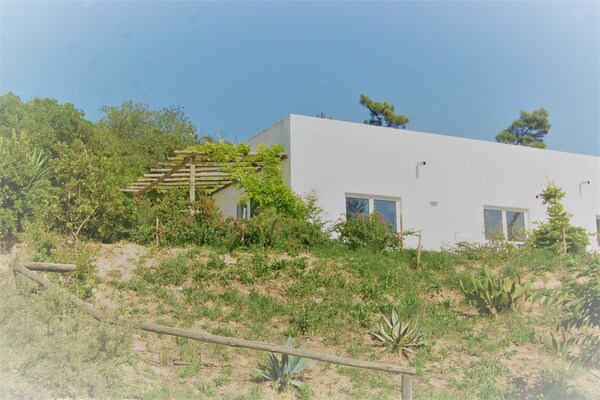Foto van Familievilla met zwembad en barbecue - Vakantiehuis in Alcobaça - ExteriorSummer