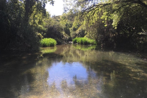 Foto van Vintage boerderij in Lissabon Portugal met zwembad - AreaSummer20KM