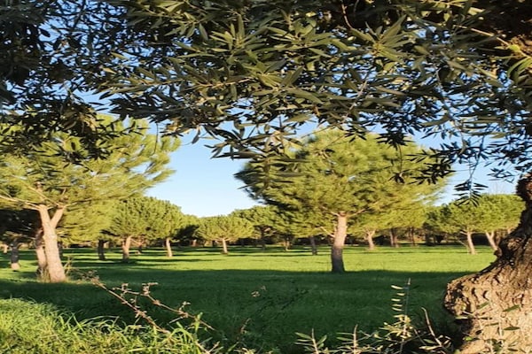 Foto van Vintage boerderij in Lissabon Portugal met zwembad - AreaSummer20KM