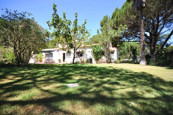 Foto van Villa in Almancil met Zwembad en Golfbaan - Vakantiehuis in Almancil - ExteriorSummer