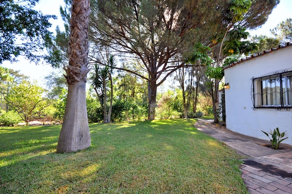 Foto van Villa in Almancil met Zwembad en Golfbaan - Vakantiehuis in Almancil - ExteriorSummer