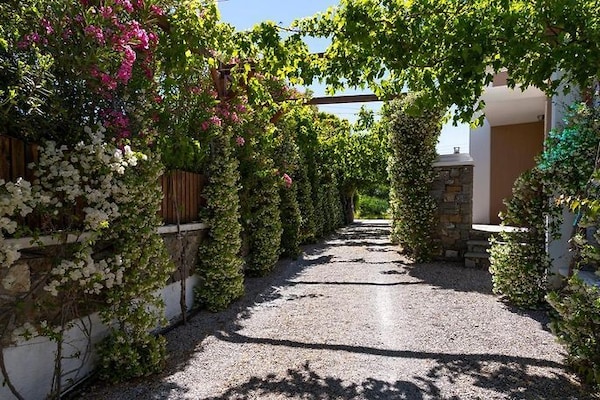 Foto van Vakantiehuis in Kiotari met een barbecue - Vakantiehuis in Kiotari - Ambiance