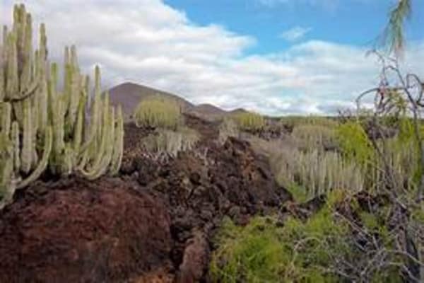 Foto van Vakantiehuis aan de kust van Tenerife voor 3 - Vakantiehuis in Malpais de Candelaria - AreaSummer5KM
